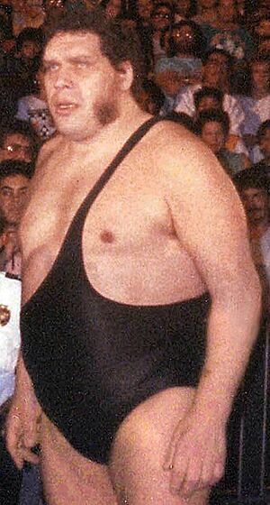 André the Giant in the late '80s (close crop).jpg