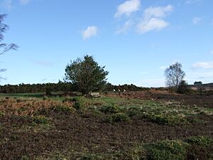 Ashdown Forest cyclists on Crowborough Road