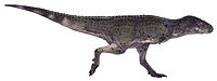 Aucasaurus garridoi by Paleocolour.jpg