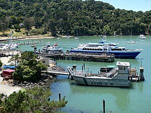 Ayala Cove Ferry Terminal from North Ridge Trail, June 2024