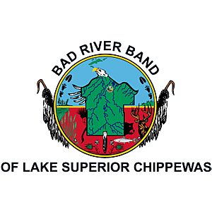 Bad River Band Flag.jpg