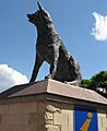 BigBlueHeeler Muswellbrook