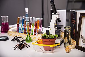 Biologist's table