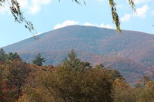 Blood Mountain from Vogel State Park, Oct 2016 1