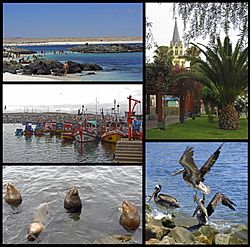 Caldera, Chile Facts for Kids