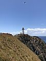 Cape Byron Lighthouse from trail up