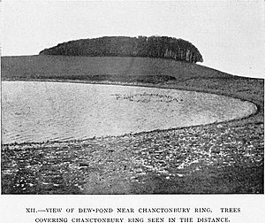 Chanctonbury Ring 1905 view
