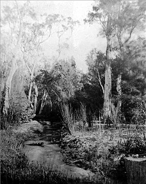 Claise Brook, 1861