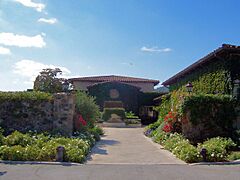 Clos la Chance Vineyards (Morgan Hill)