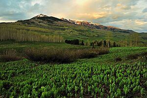 Copper Lake Trail, Crested Butte
