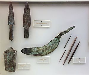 Copper knife, spearpoints, awls, and spud, Late Archaic period, Wisconsin, 3000 BC-1000 BC - Wisconsin Historical Museum - DSC03436