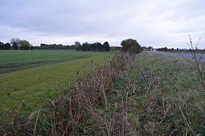 Delph Bridge Drain 1