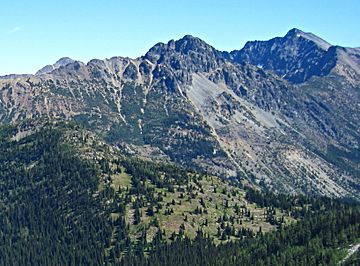 Devils Peak from the road up to the lookout.jpg