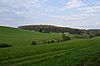 Donegal Township hilly meadow.jpg