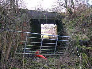 Doura waggonway overbridge