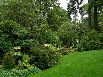 Dunn Gardens in Seattle, Washington