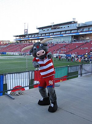 FC Dallas mascot - Tex Hooper