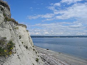 Fort Casey Cliff