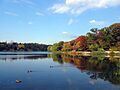 Grenadier Pond in Toronto in 2007