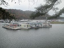 Houseboats on Broken Bow Lake IMG 8540