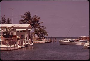 INLET AT CONCH KEY, A SMALL LOBSTER FISHING COMMUNITY IN THE LOWER FLORIDA KEYS - NARA - 548763