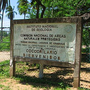 Instituto Nacional de Ecologia Chacahua