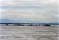 Irrawaddy raft