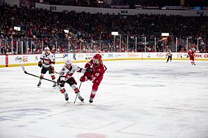 Jakov Novak - Allen Americans