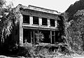 Jenkinjones WV Store