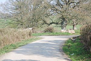 Junction near Hatch House - geograph.org.uk - 391920.jpg