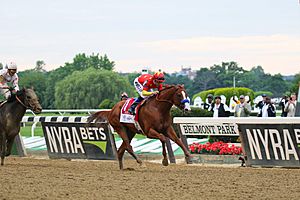 Justify - 2018 Belmont Stakes
