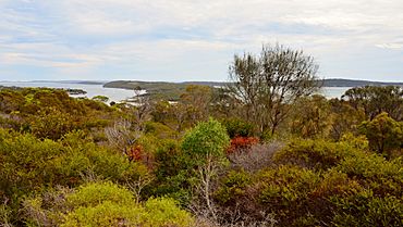 Kellidie Bay Conservation Park, 2017.jpg