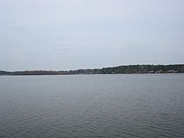 Lake Cypress Springs, view from north branch.jpg