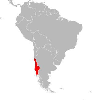 Liolaemus tenuis distribution.svg