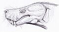 Lycosuchus1