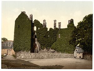 McLellan's Castle, Kirkcudbright, Scotland-LCCN2002695006