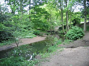 Meanwood Beck 2008