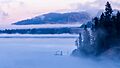 Mist on Lake Coeur d'Alene, ID. (31542918598)