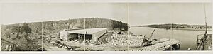 Moruya Quarry 1929 SLNSW FL3325215