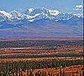 Mt. Shand from Denali Highway
