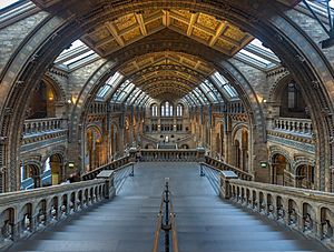 Natural History Museum Main Hall, London, UK - Diliff