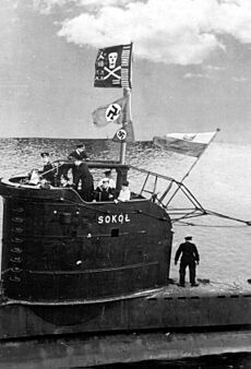 ORP Sokol2