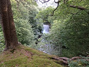 Ochiltree Castle, East Ayrshire, Scotland - the motte summit and view of the Lugar