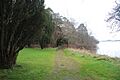 Pathway to wishing chair and rockery