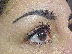 Permanent makeup, eyebrow procedure