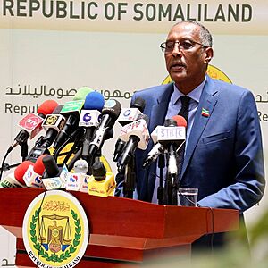 President Muse Bihi Abdi