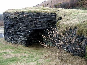 Pwllgwaelod lime kiln, and burdock - geograph.org.uk - 732034