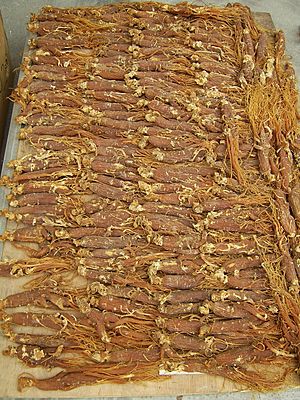 Red ginseng