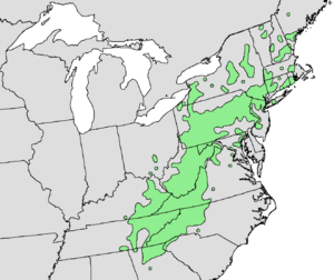 Rhododendron maximum range map.png