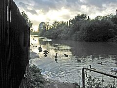 River Soar, Belgrave, Leicester - geograph.org.uk - 70260